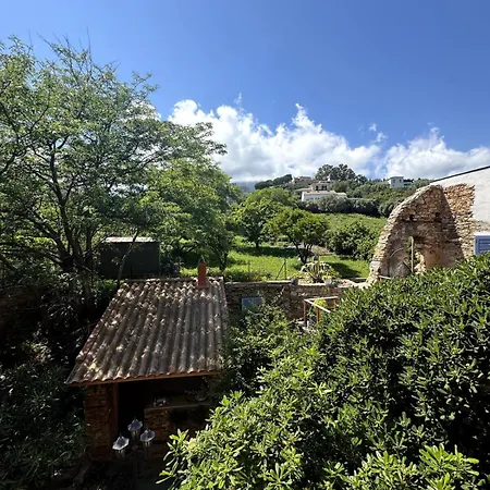 Apartment Charmant Appartement Bastia (Corsica)